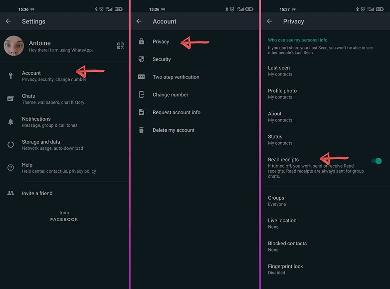 What the Check Marks Mean on WhatsApp for Message Status