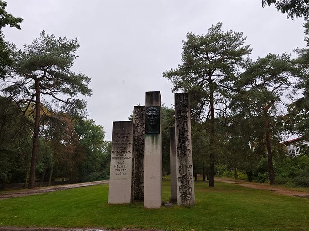 Un chemin bordé d'arbres avec un revêtement en pavés et des feuilles tombées au sol.