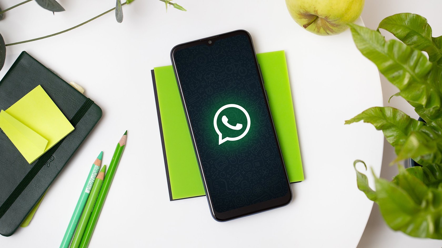 Seus Contatos Não Aparecem No Whatsapp Veja Como Resolver Este Problema 9546