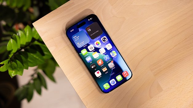 Ein Apple iPhone auf einer Holzoberfläche mit einer grünen Pflanze im Hintergrund und einem bunten App-Bildschirm.