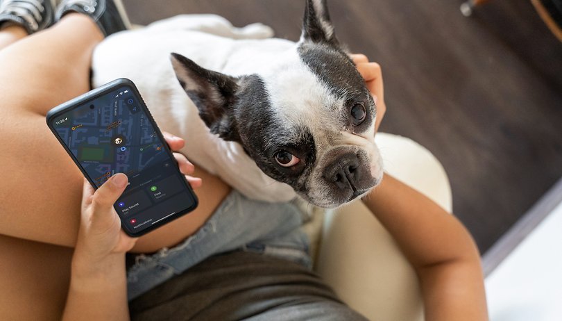GPS Trackers for Cats and Dogs Pets
