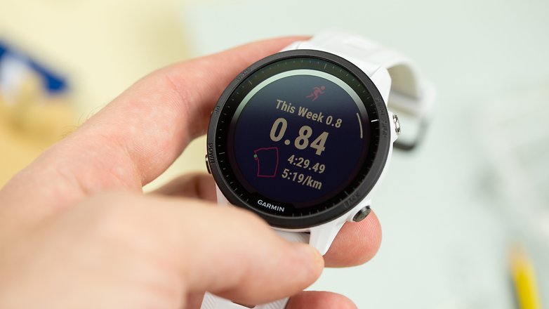 Garmin fenix cheap vs forerunner