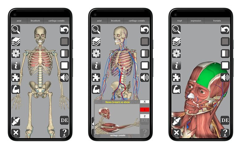 3D Anatomy NextPit