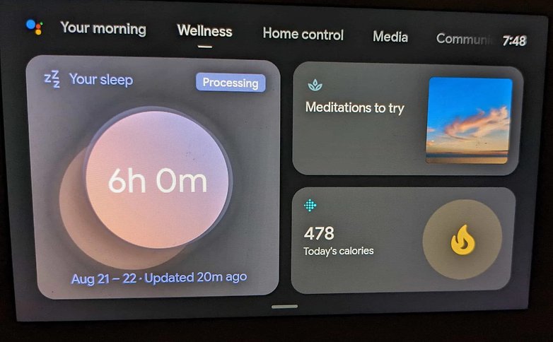 Wellness-Tab auf einem Google Nest Hub.