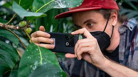 OnePlus 10 Pro goes on a photo tour: What does a Hasselblad pro think of it?