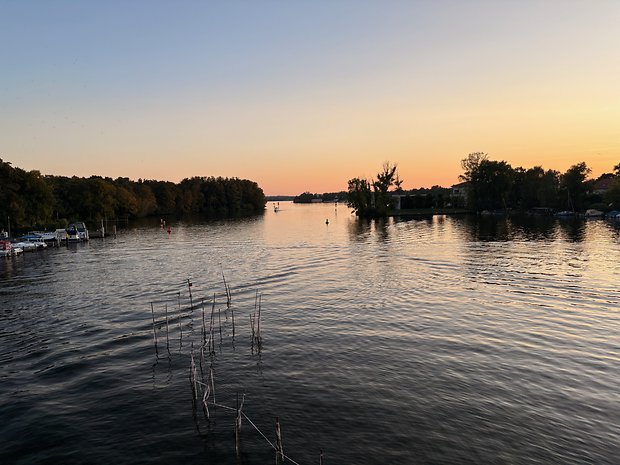 Fotografische Stile "Roségold"