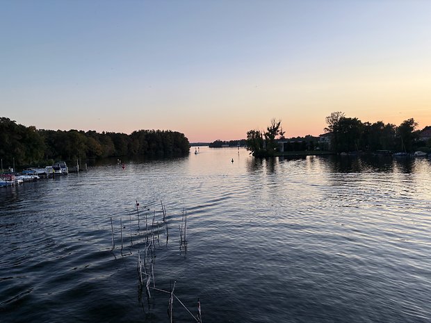 Fotografische Stile "Kaltrosa"