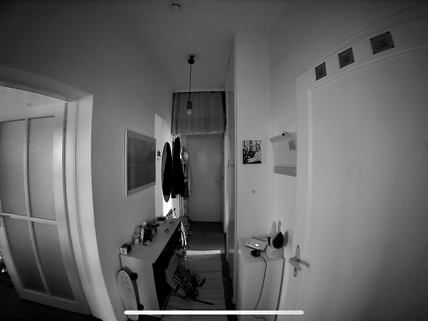 Ein Flur mit einer weißen Tür, Garderobe und einem Regal mit Gegenständen in Schwarz-Weiß.