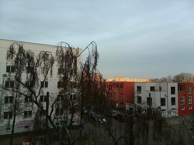 Blick auf Gebäude mit bewölktem Himmel und kahlen Bäumen im Vordergrund.