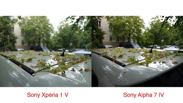 Sony Xperia 1 Mark V vs Sony Alpha 7 IV