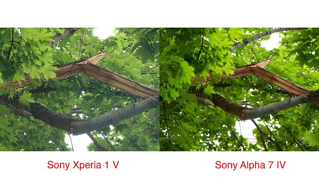 Sony Xperia 1 Mark V vs. Sony Alpha 7 IV