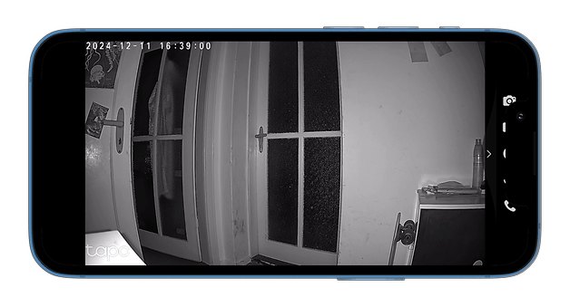 Black and white security camera view of a glass doorway and part of the room.