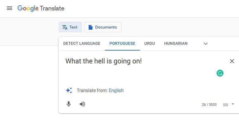 Google Translate Accent