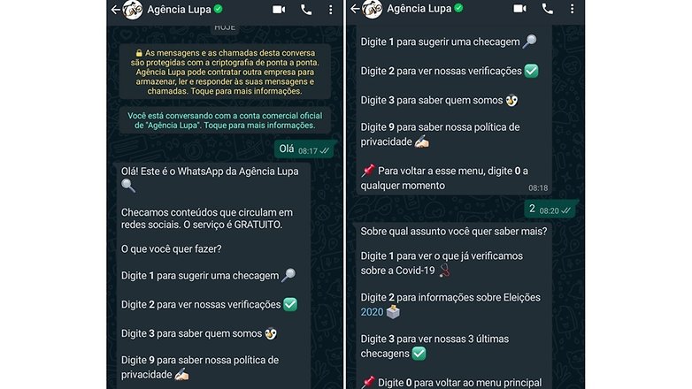 Fake News Agora Podem Ser Checadas Diretamente Pelo Whatsapp Da Agência Lupa