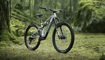 DJI Amflow PL E-Bike steht in einem Wald