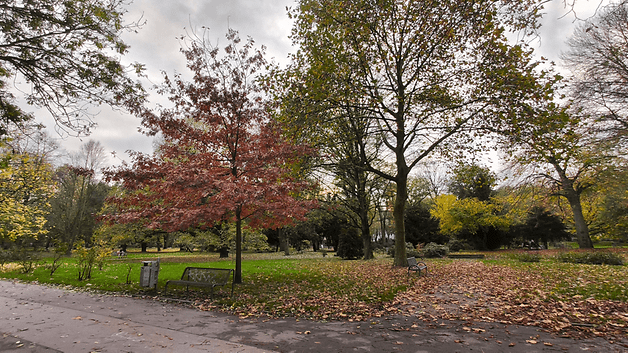 Beispiel-Foto vom Galaxy Tab S10 Ultra