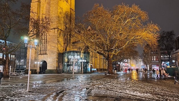 Eine nächtliche Szene eines Stadtplatzes mit einem großen Baum und einem beleuchteten historischen Gebäude.