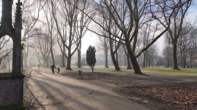 Une scène de parc brumeuse avec de grands arbres et deux personnes marchant sur un chemin.