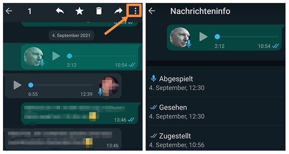 WhatsApp: Das Bedeuten Die Blauen Haken Und So Schaltet Ihr Sie Aus