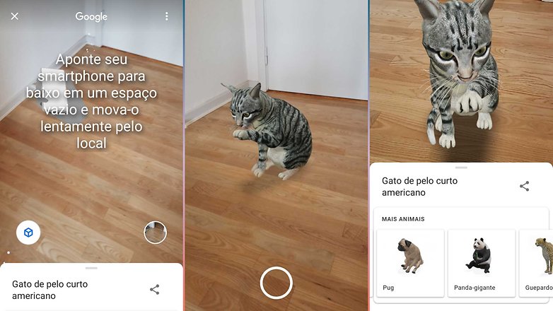 Como colocar dinossauros em 3D na sua casa com a realidade aumentada do  Google - Canaltech