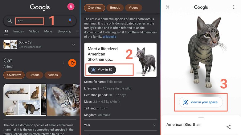 How to View Google 3D Animals in Your Mobile \ AR Feature 