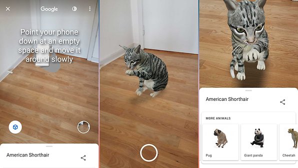 Google 3D Animals: How to use Google AR feature with your phone | NextPit