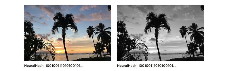 Neural Hash