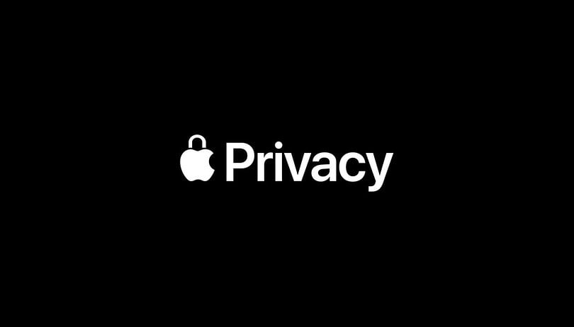 apple privacy day privacy logo