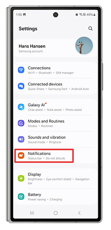 One UI screenshots showing how to customize the system notifications.