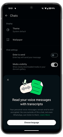 WhatsApp chat settings screen displaying voice message transcription feature.