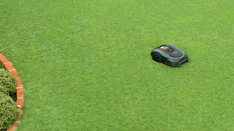 Bosch Indego XS 300 auf Rasen