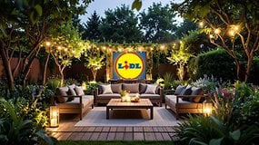 Lidl beendet den Sommer: Über 70 Prozent Rabatt auf Werkzeug & Co. möglich!