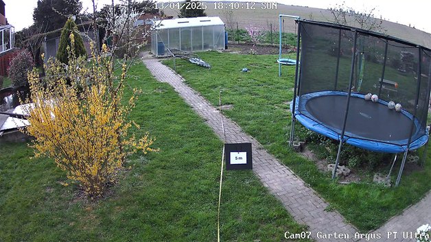 Eine Gartenszene mit einem Trampolin, blühendem Busch und einem Schuppen, aufgenommen von einer Reolink Argus PT Ultra Kamera.