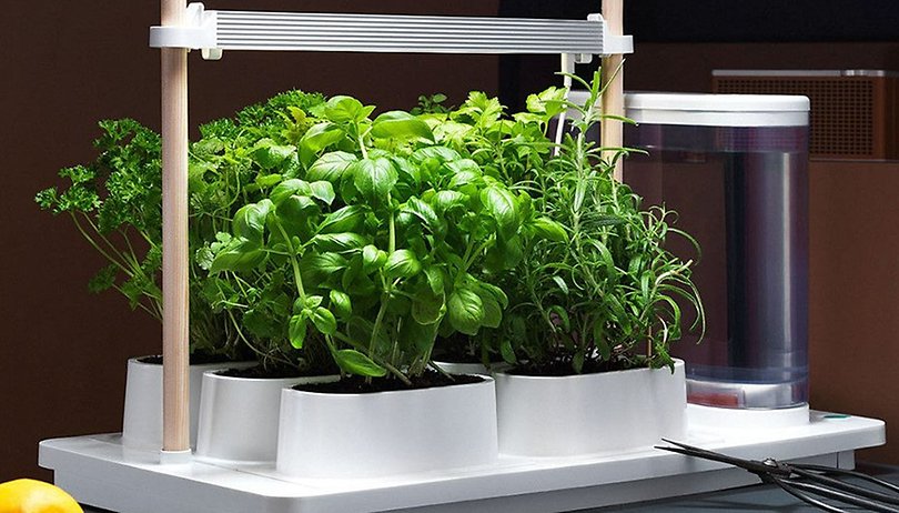 Auk start kit smart indoor plant automation