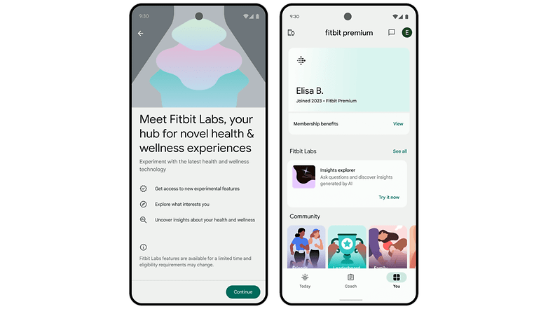 Googles Fitbit Labs