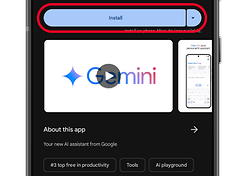 How to install Gemini 1