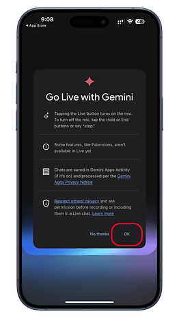 Go Live with Gemini screen, instructions for using the Live feature and privacy notice.