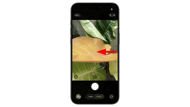 Close-up of a smartphone camera view showing leaves with an arrow pointing to a yellow leaf.