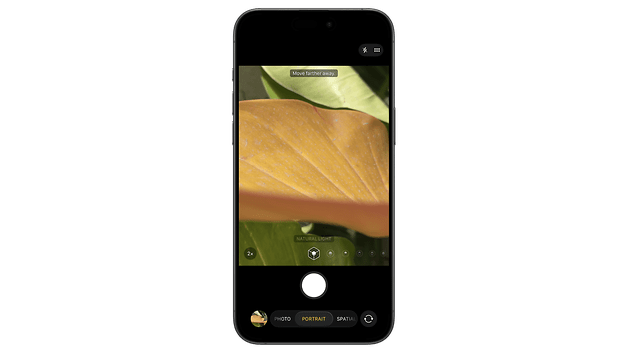 Close-up of a yellow leaf on a plant, displayed on an iPhone camera interface with options.