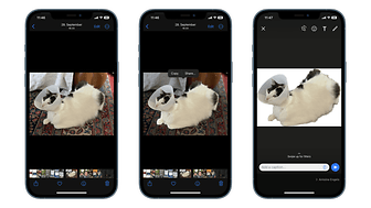 How To Remove The Background In Photos On The IPhone