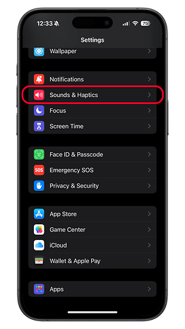 Menü „Einstellungen“ auf einem iPhone mit markierter Option „Sounds und Haptik“.