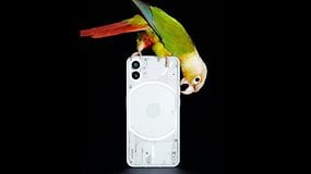 Rückseite des Nothing Phone 1 mit Papagei
