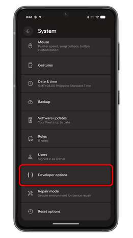 Settings menu on an Android device showing various system options including Developer options highlighted.