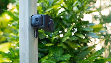 A Blink Arc security camera mounted on a wooden post, surrounded by lush green foliage.