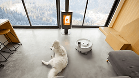 Ein gemütlicher Raum mit einem weißen Hund auf dem Boden neben einem SwitchBot K20+ Pro und einem Holzofen mit Blick auf eine verschneite Landschaft.