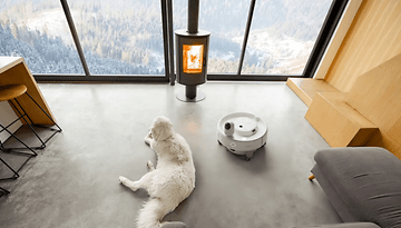 Ein gemütlicher Raum mit einem weißen Hund auf dem Boden neben einem SwitchBot K20+ Pro und einem Holzofen mit Blick auf eine verschneite Landschaft.