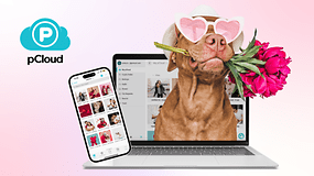 pCloud Valentinstags-Aktion - Mit über 50 % Rabatt auf Lifetime-Cloudspeicher