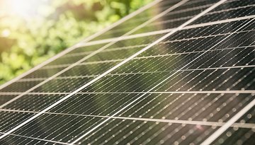 Nahaufnahme von Solarpanels, die Sonnenlicht in einer grünen Umgebung reflektieren.