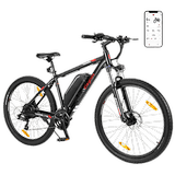 Eleglide M2 E-Bike