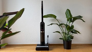 Eureka RapidWash 730 Nass- und Trockensauger neben einer Topfpflanze.